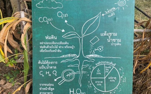 วันที่ 18 ธันวาคม 2566 โรงเรียนเทศบาล 1 (เกริกกฤตยาอุปถัมภ์) ผู้อำนวยการสถานศึกษา คณะครู นักเรียนชั้นประถมศึกษาปีที่ 6 เข้าร่วมกิจกรรมโครงการสืบสาน งานพ่อ สานต่อวันดินโลก